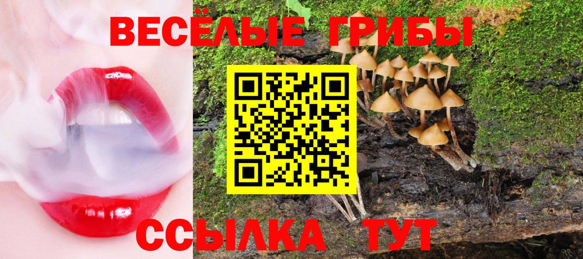 Галлюциногенные грибы прущие грибы  Галлюциногенные грибы Psilocybine cubensis  где можно купить   Вход с VPN  Зеленокумск 