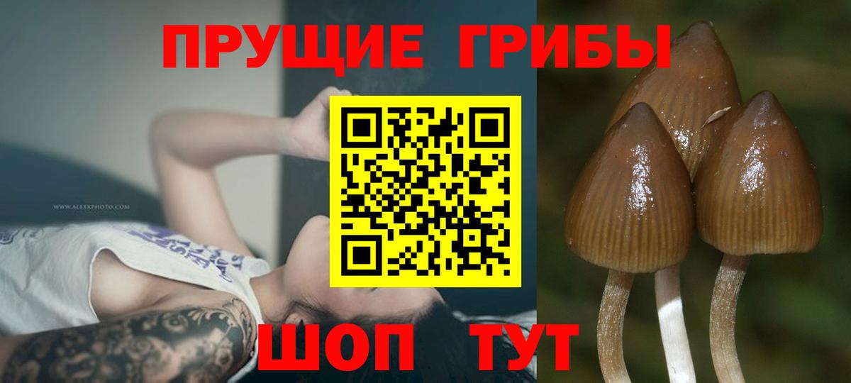 Псилоцибиновые грибы мухоморы Зеленокумск